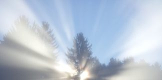 하나님의 형상과 모양에 대하여.1