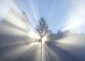 하나님의 형상과 모양에 대하여.1