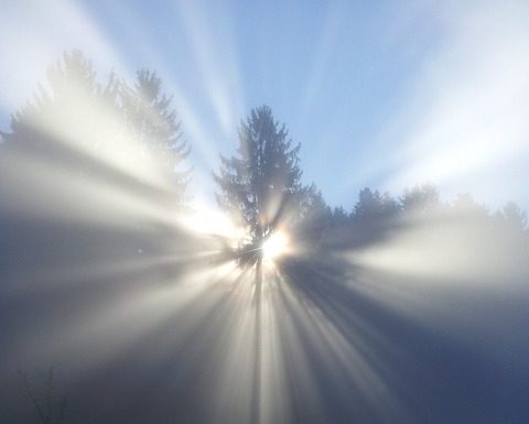 하나님의 형상과 모양에 대하여.1