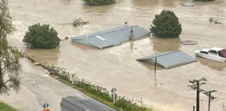 뉴질랜드 홍수/뉴질랜드 사이클론 가브리엘