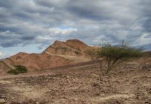 “해도해도 너무 하십니다”