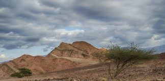 “해도해도 너무 하십니다”