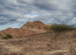 “해도해도 너무 하십니다”