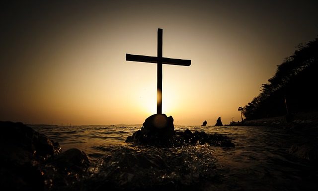 덕스(Dux) 위에 그레이스(Grace)