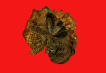 Will I live in this cave forever