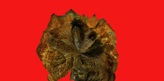 Will I live in this cave forever