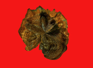 Will I live in this cave forever