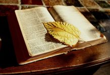 구약성서와 선교학