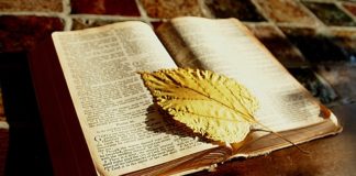 구약성서와 선교학