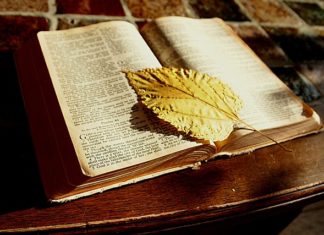 구약성서와 선교학