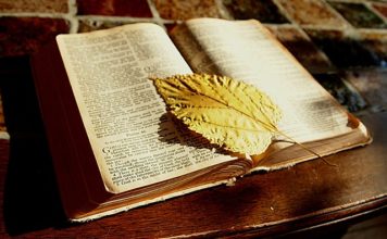 구약성서와 선교학