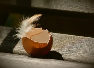 4월에 쓴 시(詩), 자화상, 껍데기는 가라