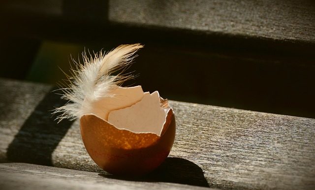 4월에 쓴 시(詩), 자화상, 껍데기는 가라