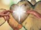 하나님의 이름.2