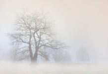 내 안에 낀 안개