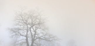 내 안에 낀 안개