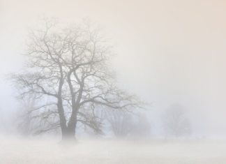 내 안에 낀 안개