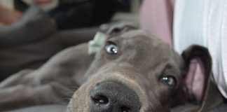 게으름이라는 죄