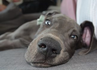 게으름이라는 죄