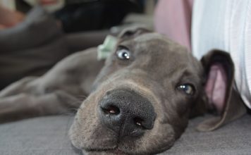 게으름이라는 죄