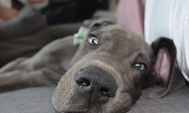 게으름이라는 죄