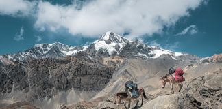 4월 넷째 주 찬송/4월 다섯째 주 찬송4월 넷째 주 찬송/