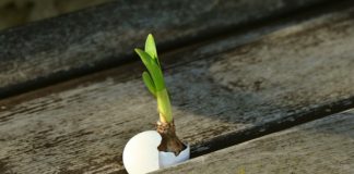 사망에게 사망선고를 내리다