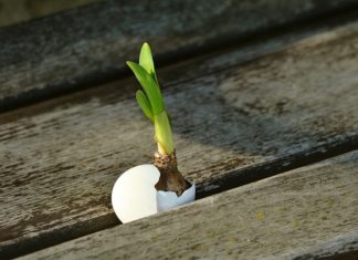 사망에게 사망선고를 내리다