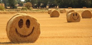 몸통만 남아 있으니