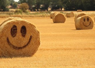 몸통만 남아 있으니