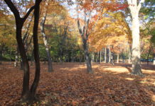 거기 그녀는 빌려온 사람처럼 낯설게 서 있습니다