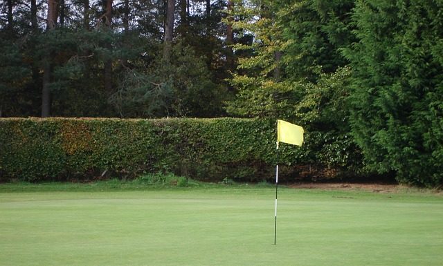 삶의 새로운 chapter가 열리다