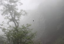 기다리는 마음, 거미에게 배우다