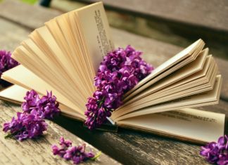 “이 책을 오해했습니다”