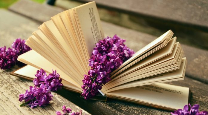 “이 책을 오해했습니다”