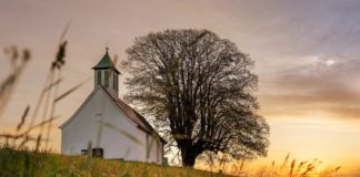 8월 첫째 주 찬송/8월 둘째 주 찬송