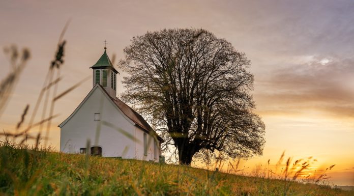 8월 첫째 주 찬송/8월 둘째 주 찬송