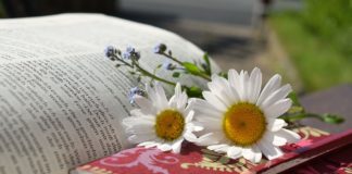 말만 하고 행치 아니하며