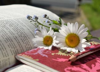 말만 하고 행치 아니하며