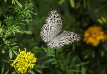 날개 펴는 법을 배우다