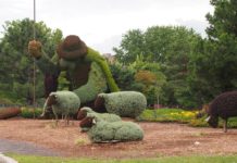 6월 셋째 주 찬송/6월 넷째 주 찬송6월 셋째 주 찬송