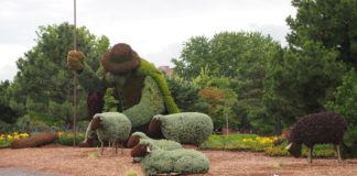 6월 셋째 주 찬송/6월 넷째 주 찬송6월 셋째 주 찬송