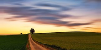 다시 사마리아로