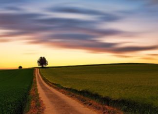 다시 사마리아로