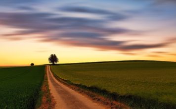 다시 사마리아로