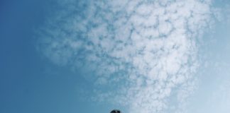 성육신적 이민자 예수