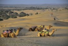 무거운 짐 내려 놓다