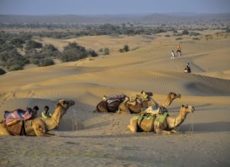 무거운 짐 내려 놓다