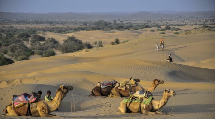 무거운 짐 내려 놓다