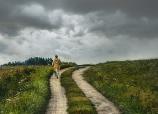 이 사십 년 동안에